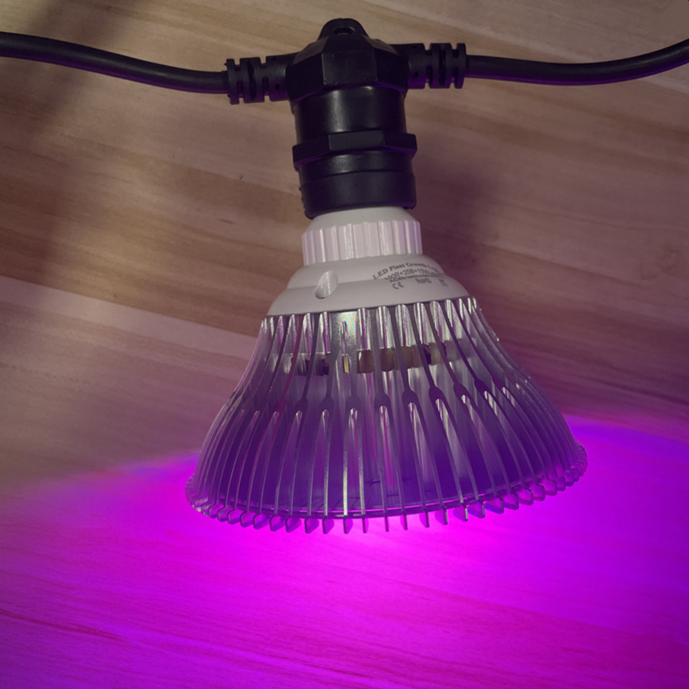 10M Cable LED String Commercia - Outdoor Lighting Socket avis et prix