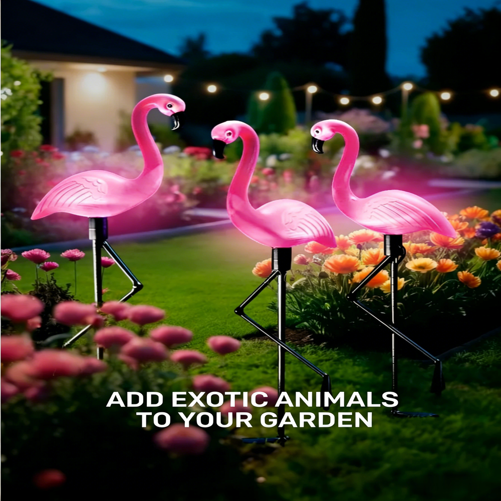 3Pcs Solar Powered Flamingo Gr - Outdoor Lighting Yard Stakes avis et prix