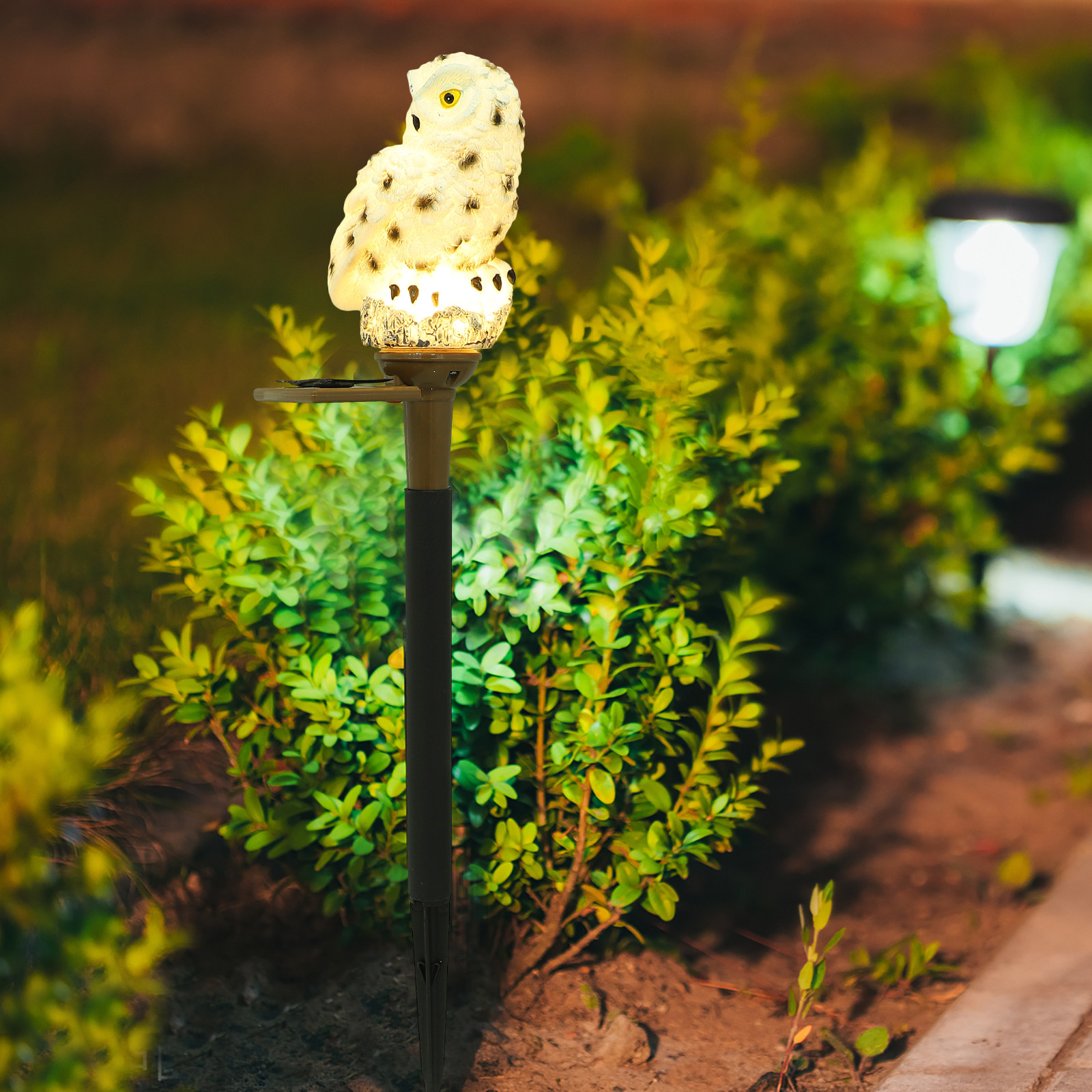 Solar Garden Lights Owl Design - Outdoor Lighting Design Ideas avis et prix