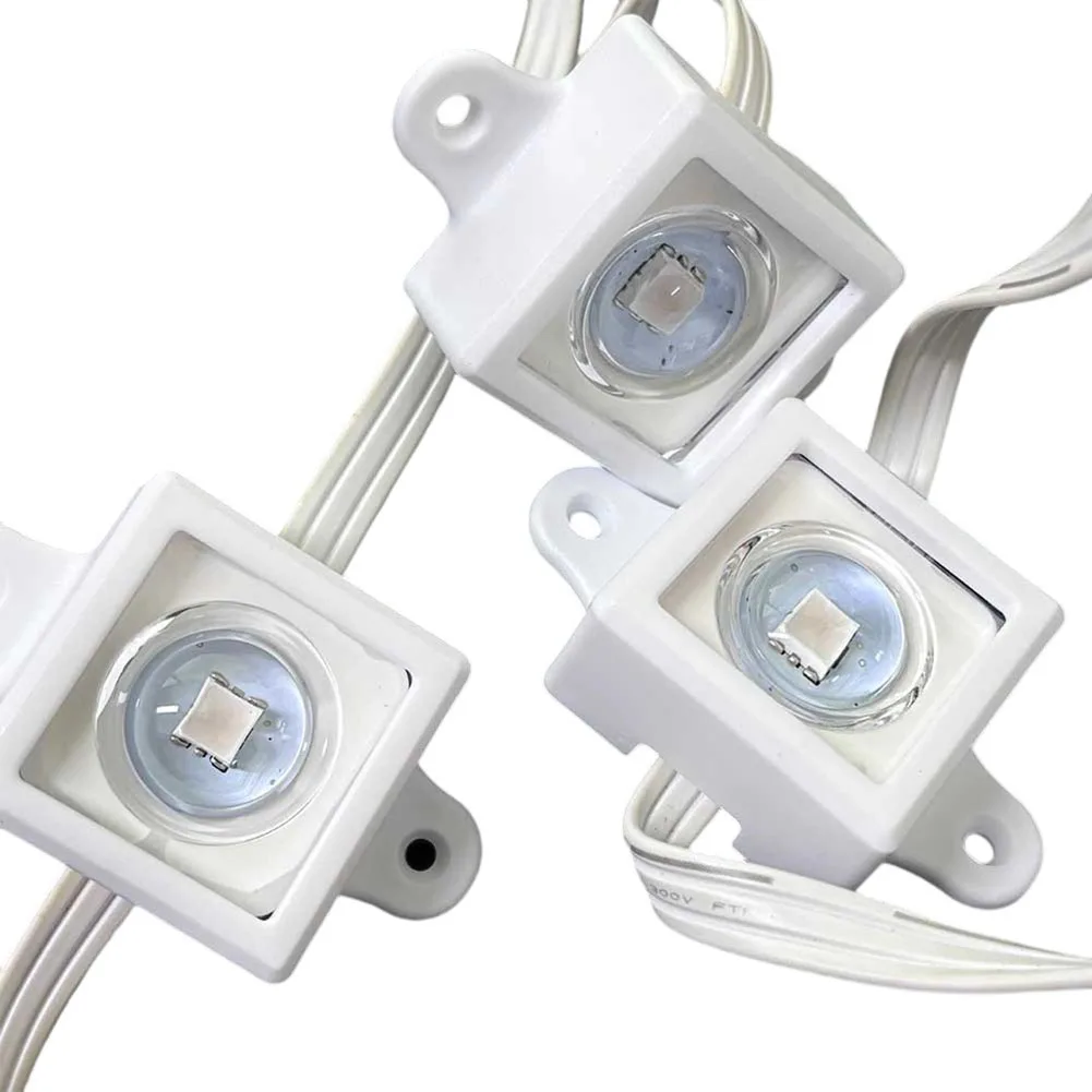 40/80Pcs Festival Light Clips  - Outdoor Lighting Govee avis et prix