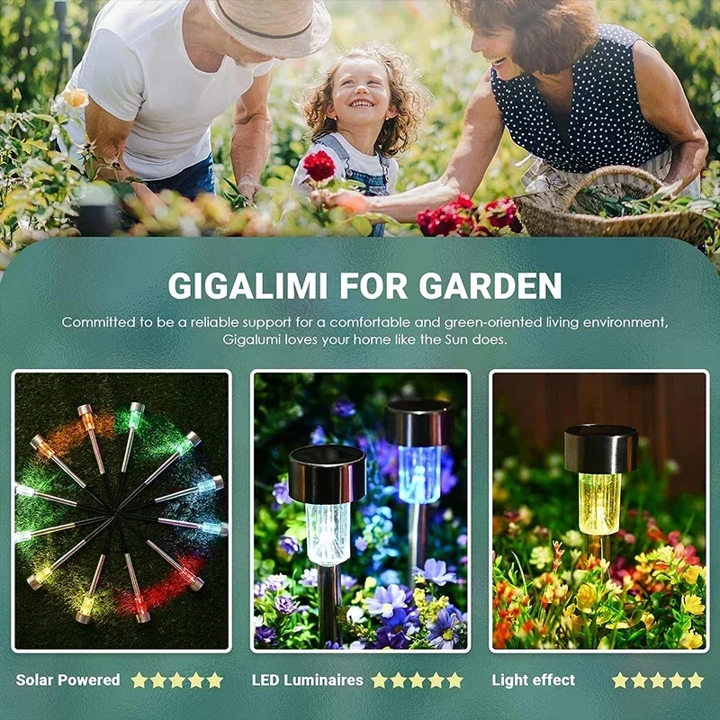 Solar Outdoor Lights Garden La - Outdoor Lighting Yard Decoration avis et prix