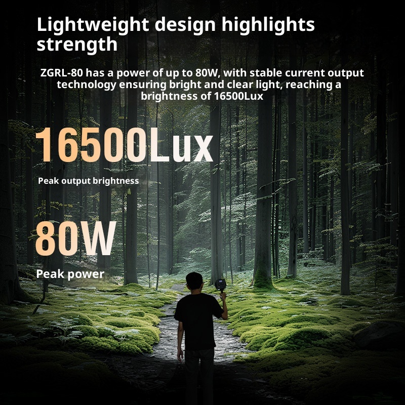 ZGRL80 80W COB LED Video Light - Outdoor Lighting Video avis et prix