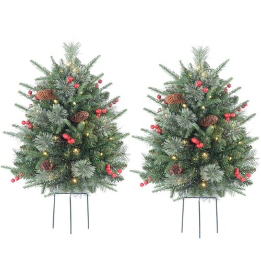 30 Inch Outdoor Prelit Christm - Outdoor Lighting Battery Operated avis et prix