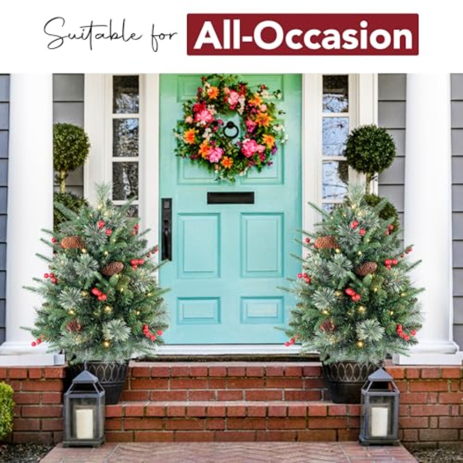 30 Inch Outdoor Prelit Christm - Outdoor Lighting Battery Operated avis et prix