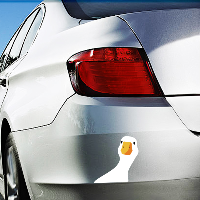 Car Safety for Doubtful Duck C - Outdoor Lighting Socket avis et prix